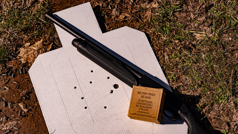 Round of buckshot fired into a cardboard target