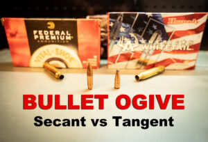 Bullet ogive displayed with ammo on a table