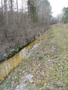 ditch lines are a great find when scouting deer a ditch line is a great place to scout for deer