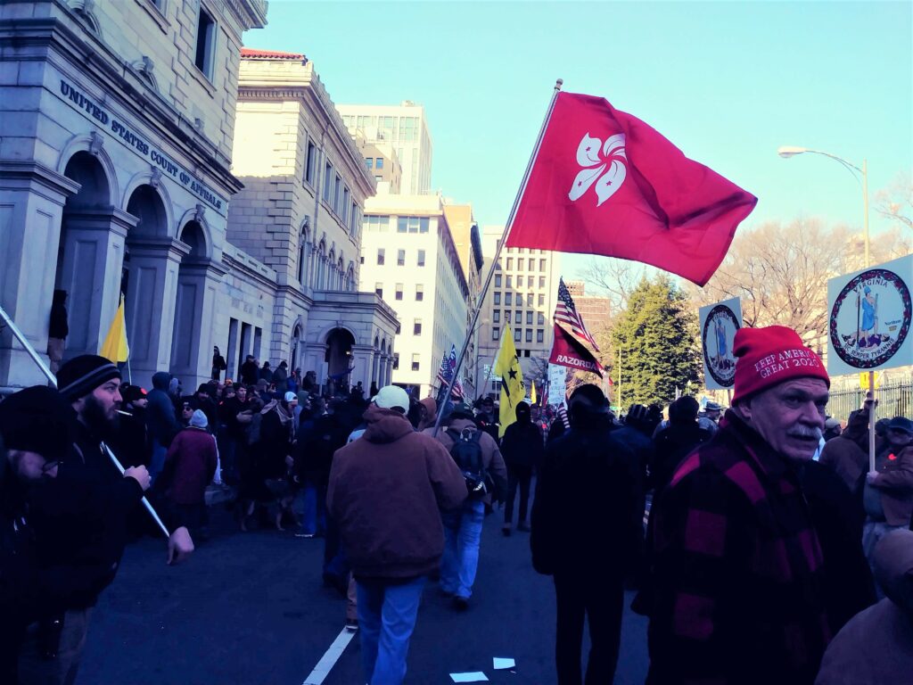 Flags waving at a Virginia gun rights rally
