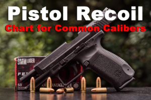 A pistol with ...</p>
</div>
<hr><div class=