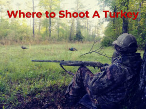 a turkey hunter in the woods with decoys