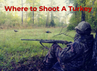 Where To Shoot A Turkey
