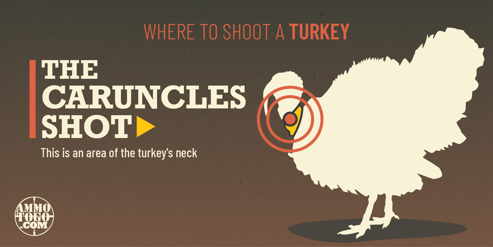 Where to shoot a turkey with a shotgun